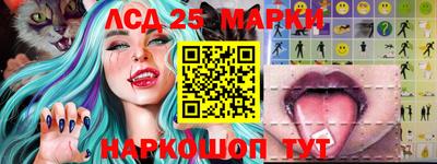 МДПВ Камышлов