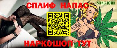 МДПВ Камышлов