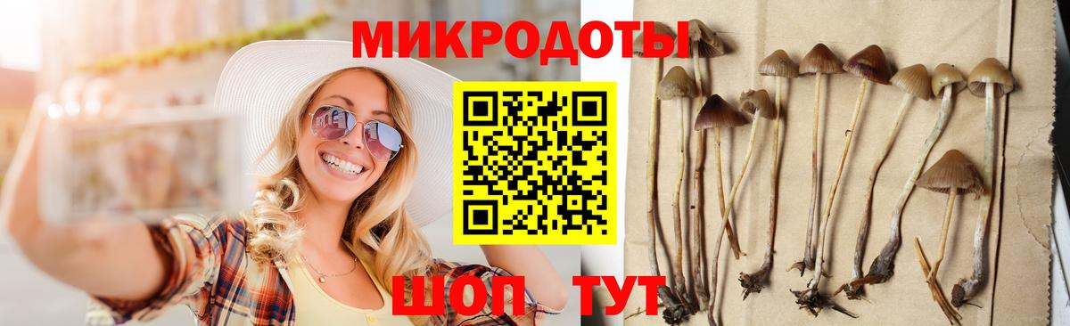 Нарткала  магазин    Вход с VPN  Галлюциногенные грибы GOLDEN TEACHER 